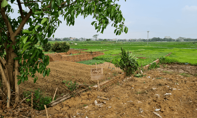 Đất tỉnh